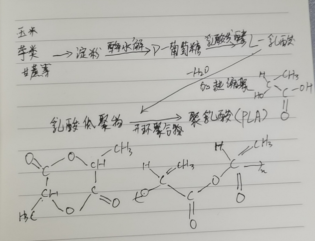 生物降解袋中的PLA是如何制得的？(圖2)